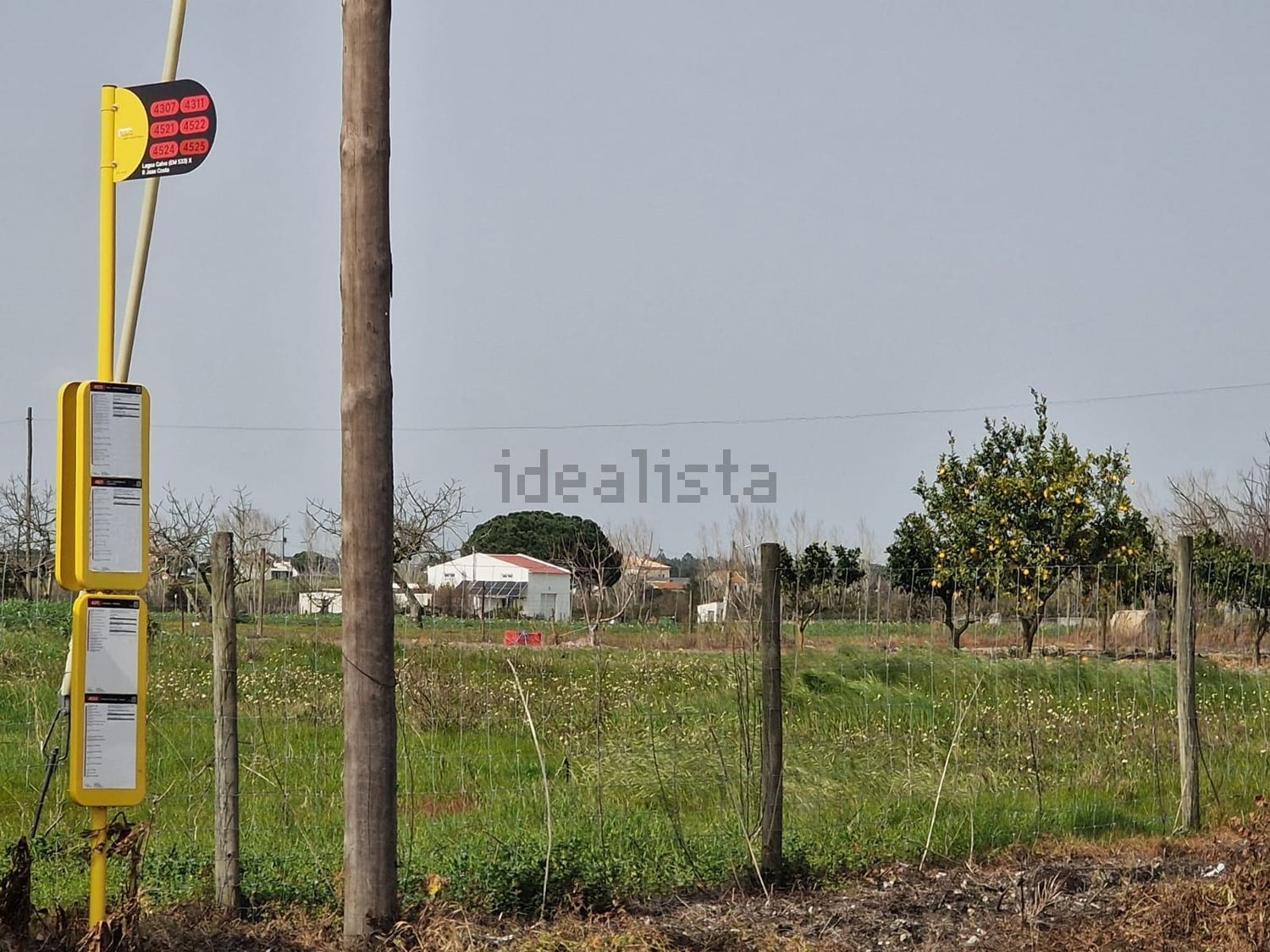 庄园出售在Poceirão e Marateca - 花园