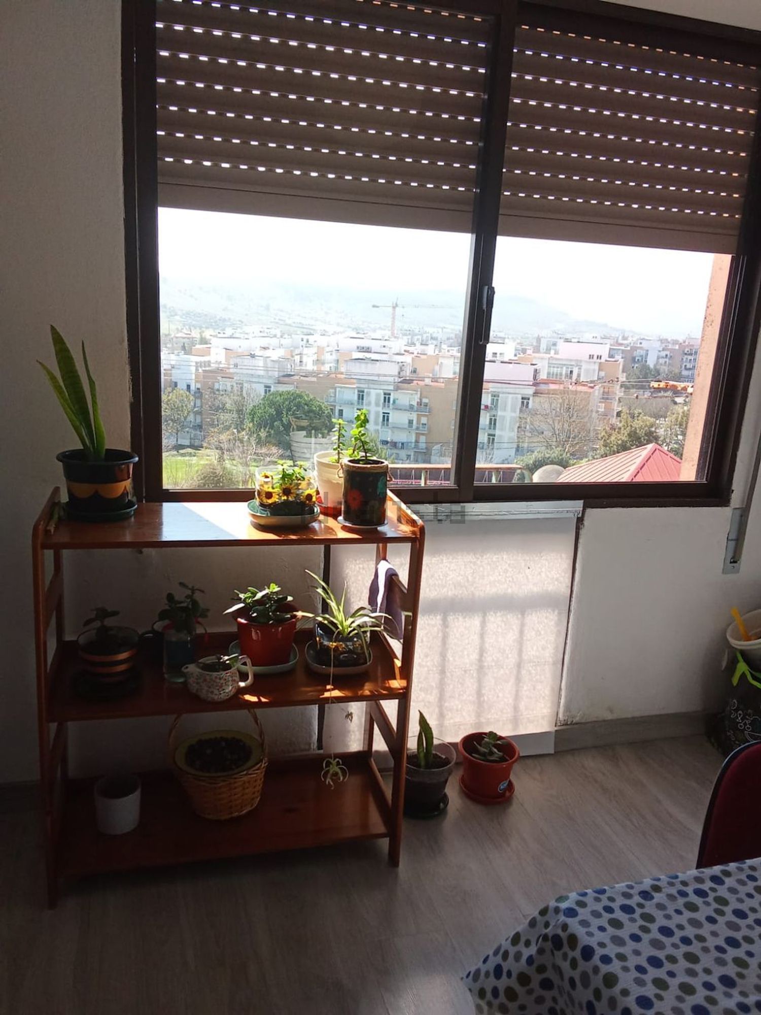 出租房间在Rua da Liberdade, 2625 -676 Vialonga - 客厅