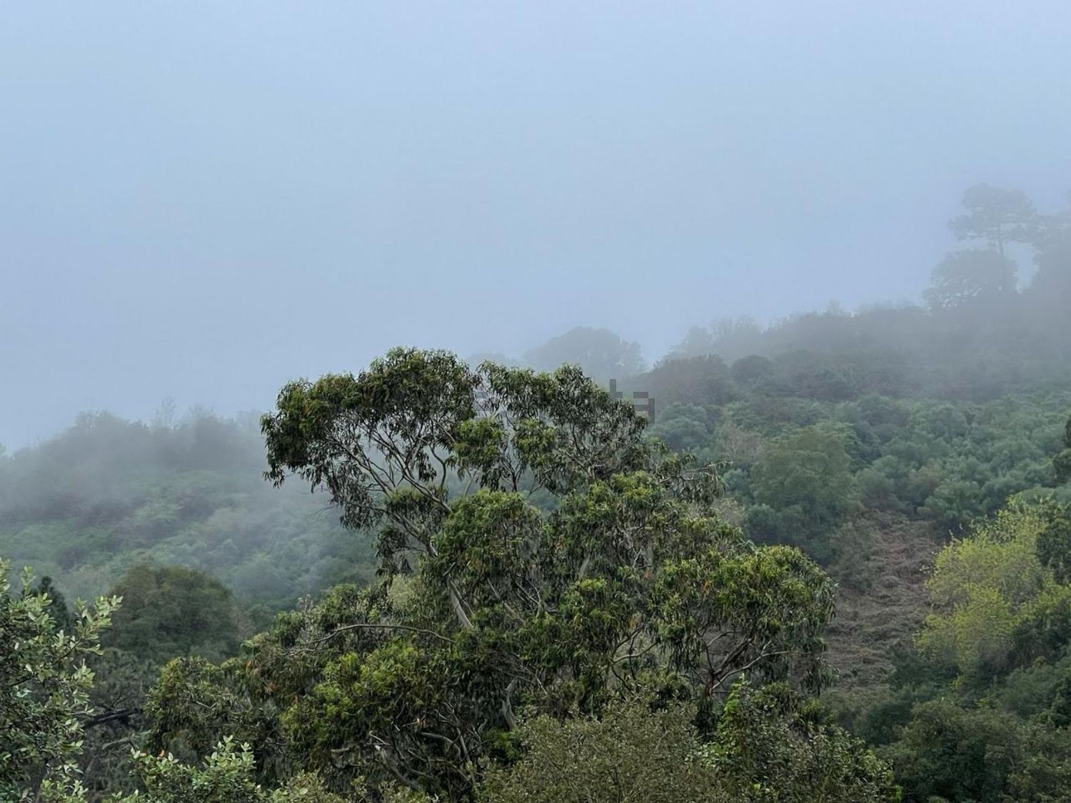 出租庄园在Estrada do Monte do Touro, 30 - 视线