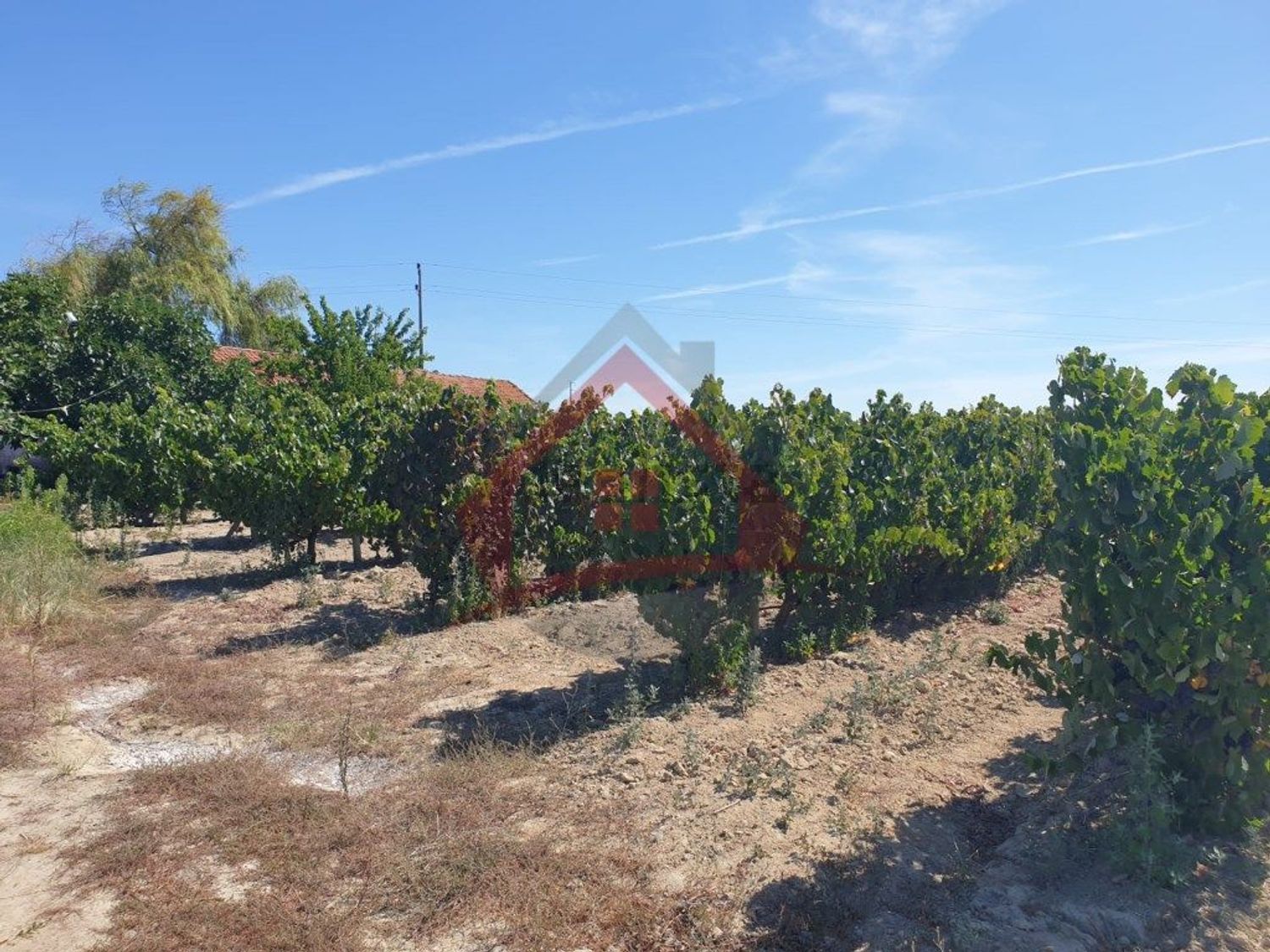 庄园出售在Largo da Fonte - 花园