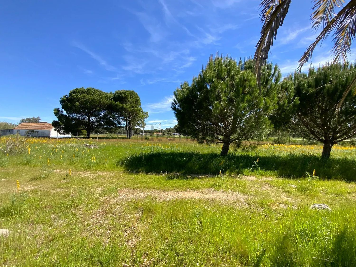 小楼房或独栋别墅出售Grandola - 花园