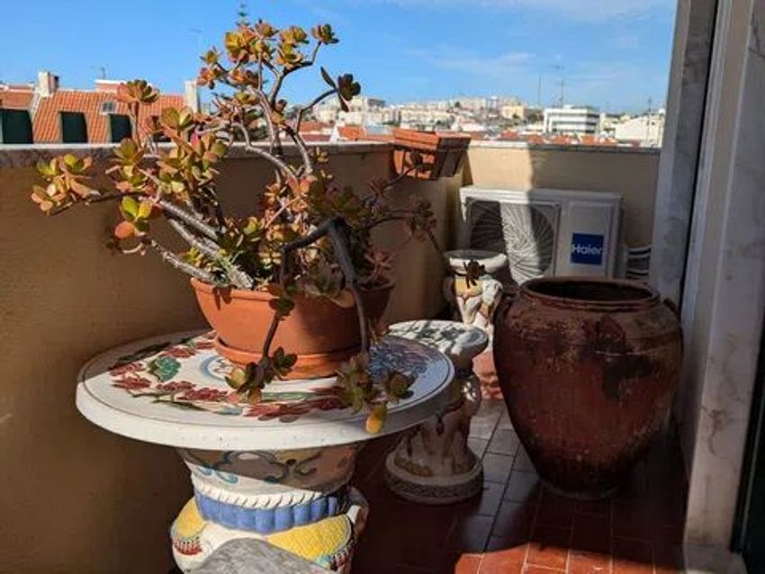 出租公寓 t4在Rua Elias Garcia, 249