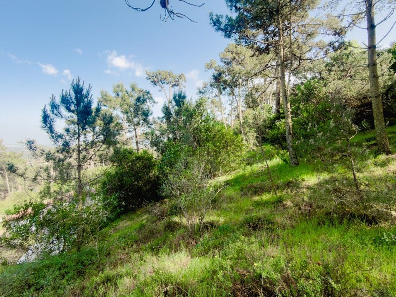 小楼房或独栋别墅出售在Rua do Cabeço do Barro - 花园