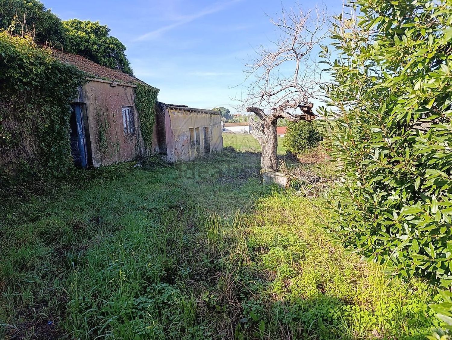 小楼房或独栋别墅出售在Rua Almeida - 花园