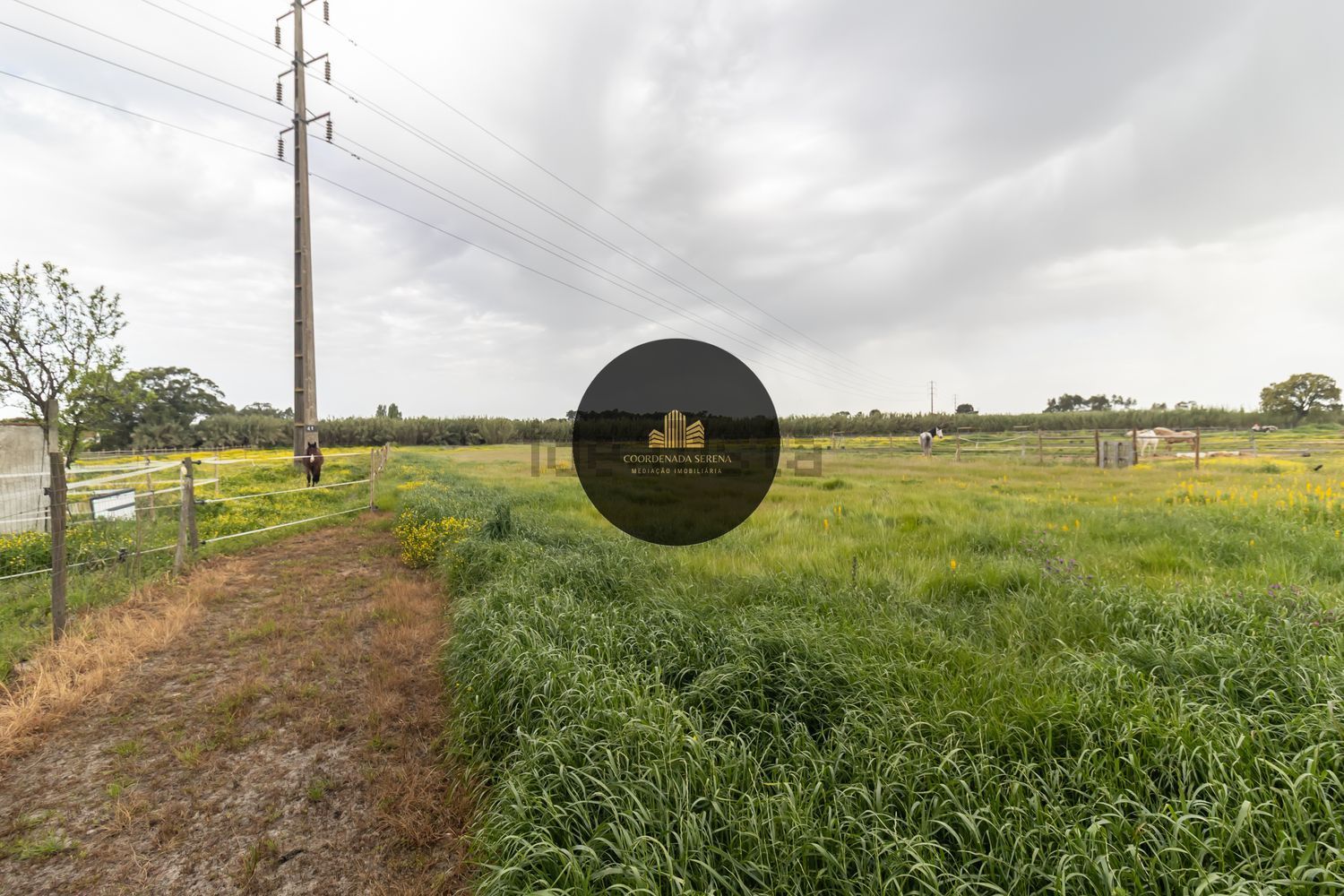 小楼房或独栋别墅出售在Cascalheira - Venda do Alcaide - 花园