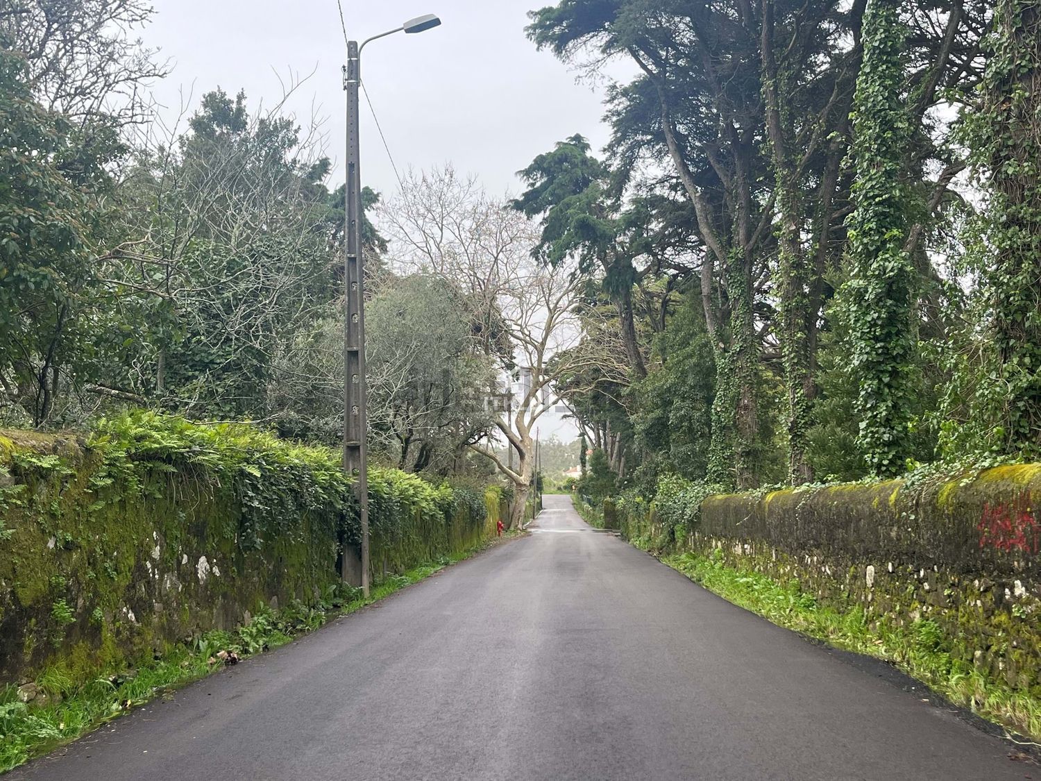 庄园出售在São Pedro de Penaferrim - 花园