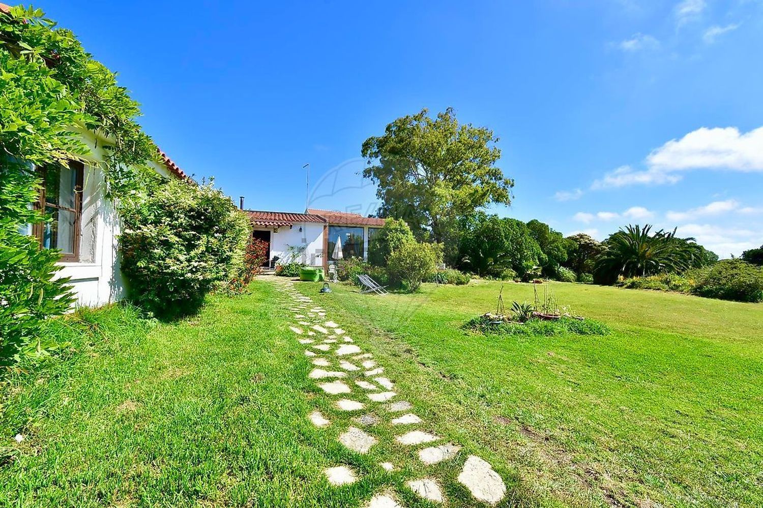 小楼房或独栋别墅出售在Rua Principal - 花园