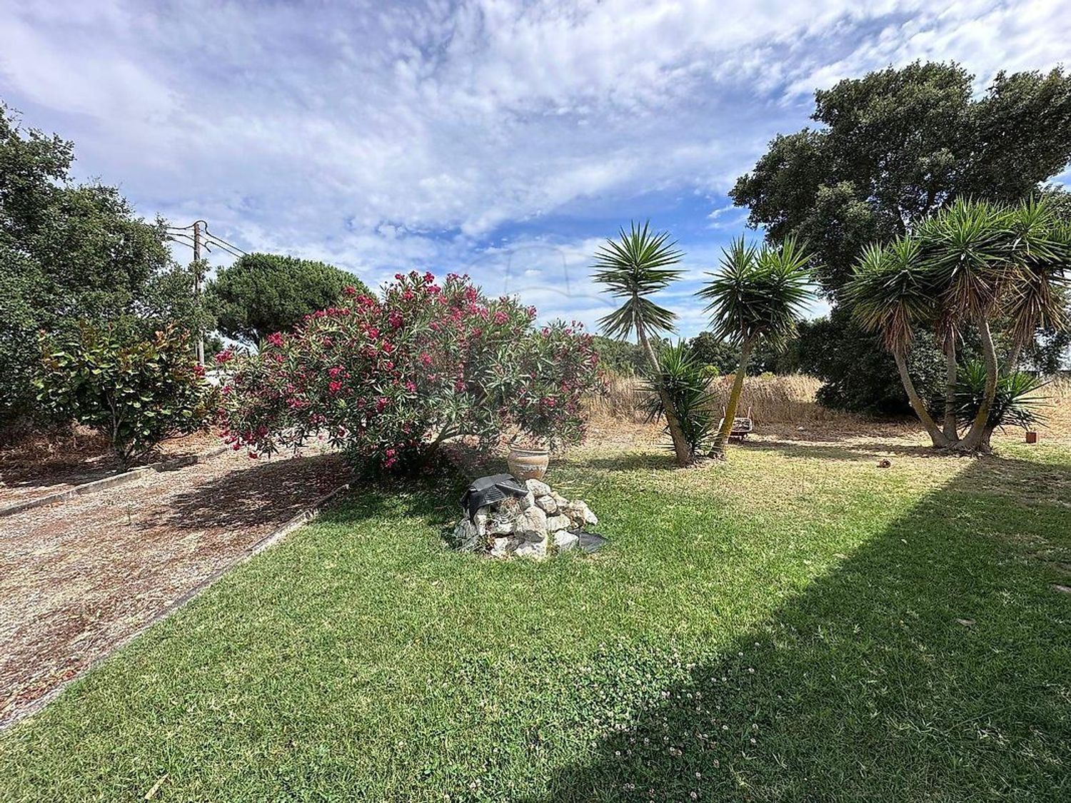 小楼房或独栋别墅出售在Rua do Sol - 花园