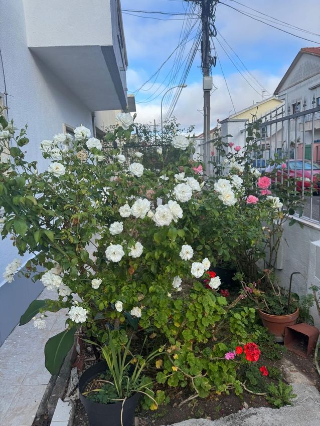 出租房间在Rua José Saraiva, 11