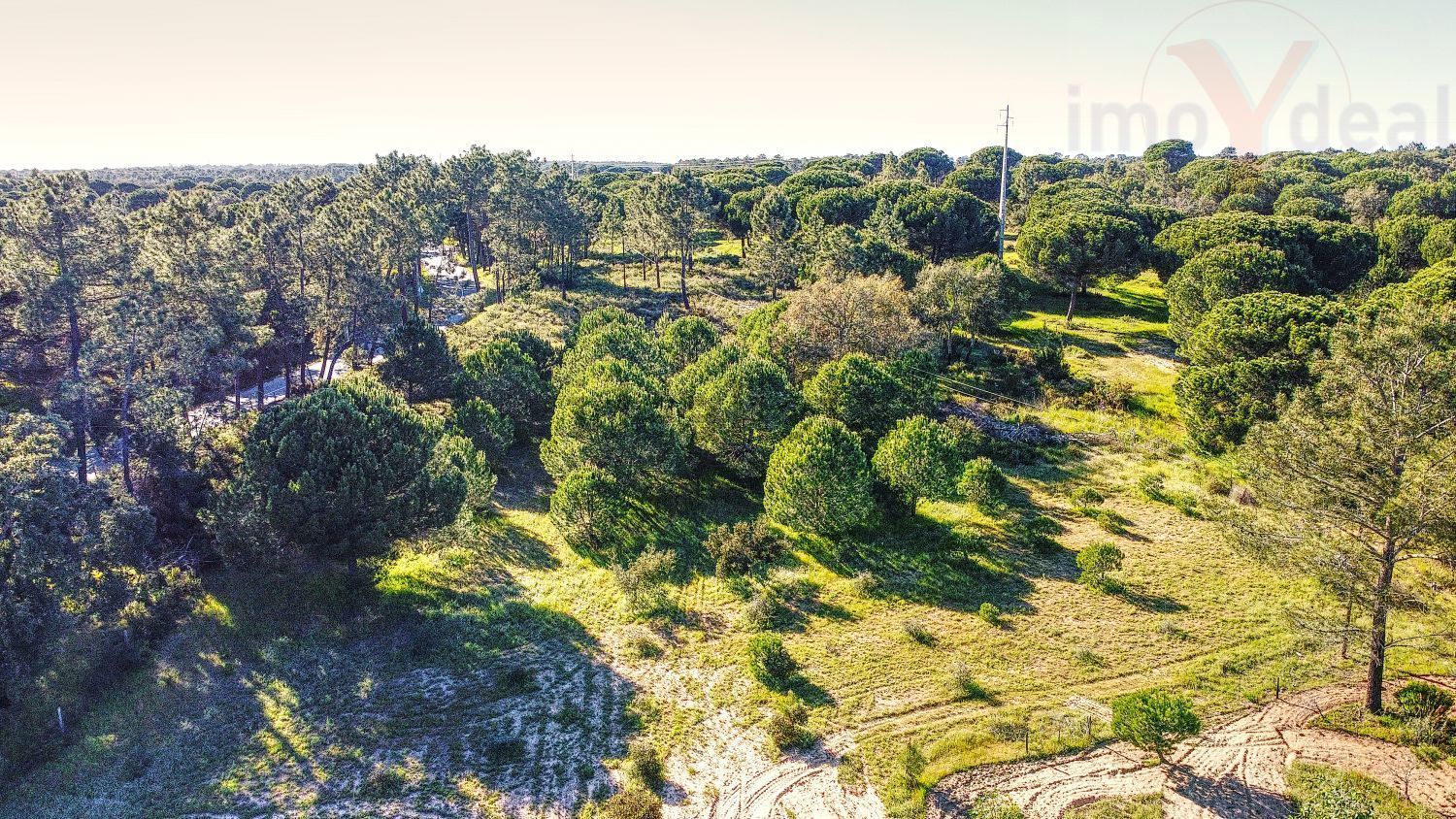 庄园出售在Melides - 花园