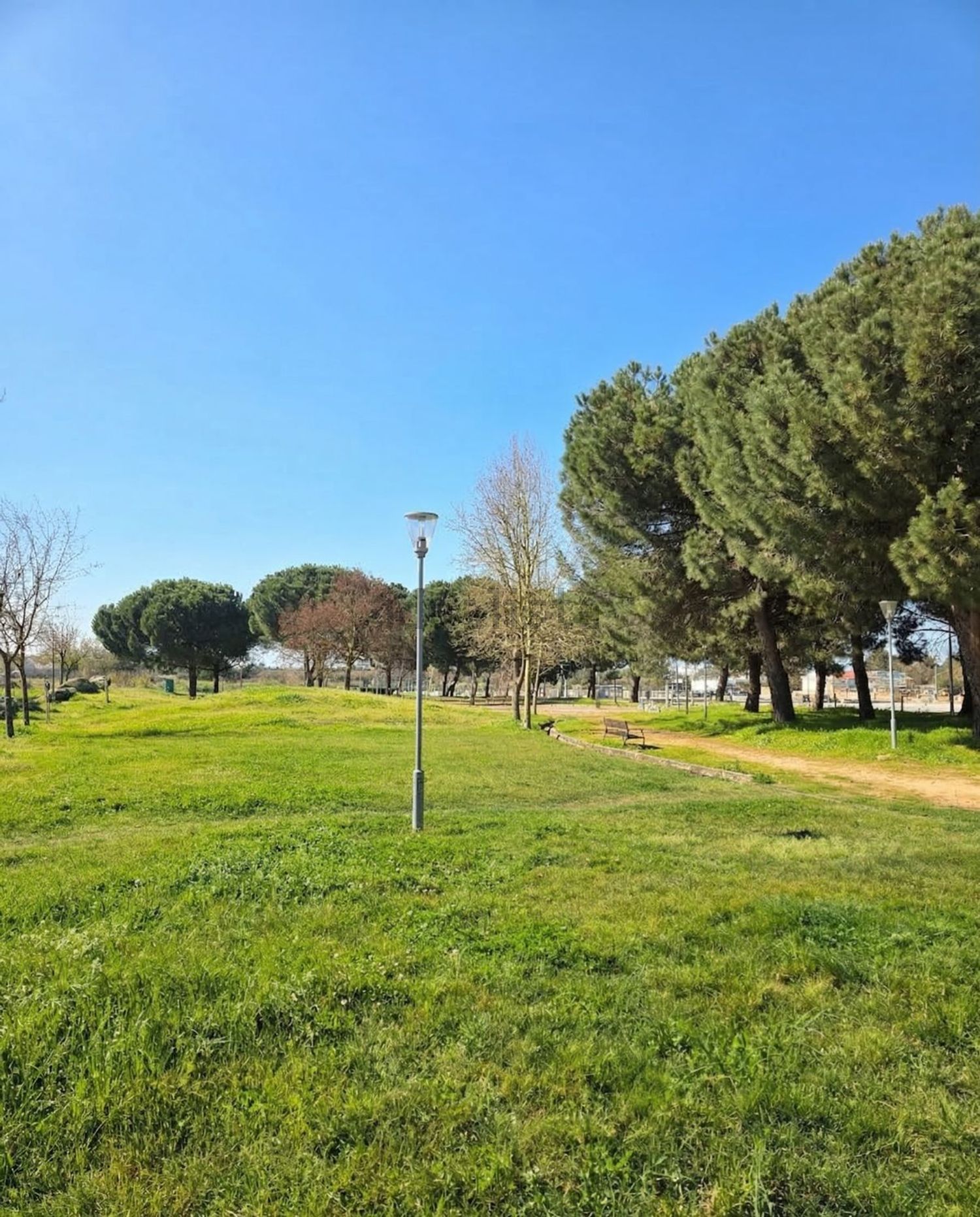 公寓 t2出售在Rua Bernardino Curado, 36 - 花园