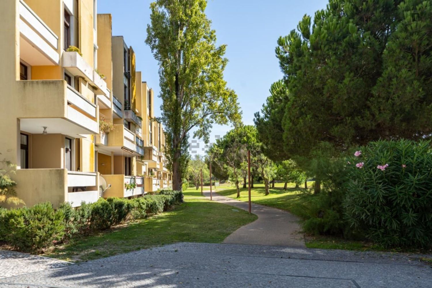 出租公寓 t2在Rua da Azinheira - 视线