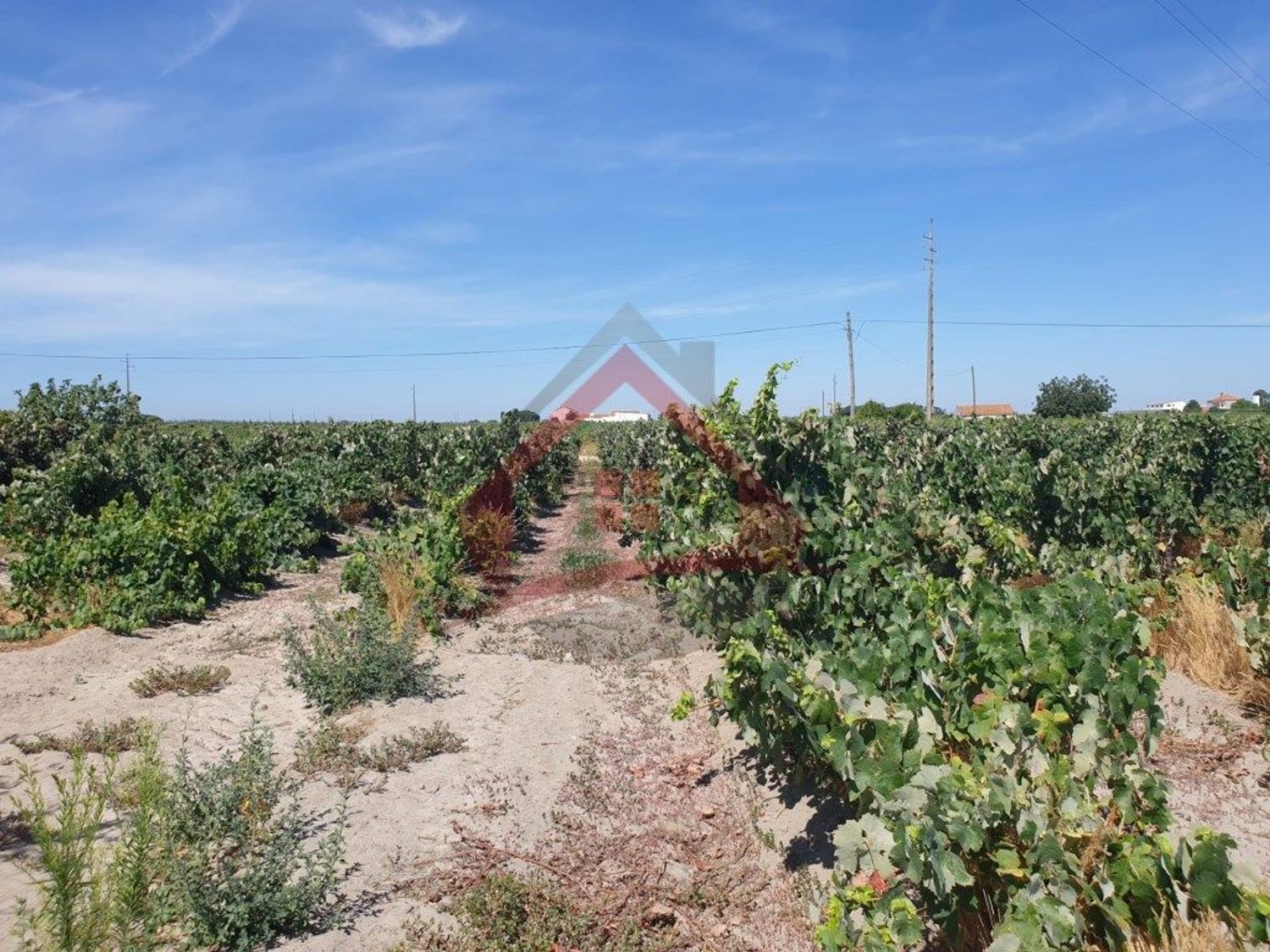 庄园出售在Largo da Fonte - 照片