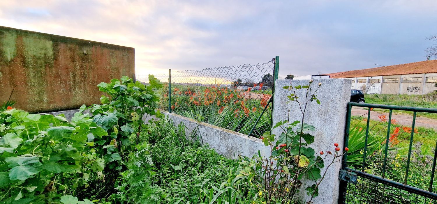 出租公寓 t2在Estrada de Paço de Arcos - 花园