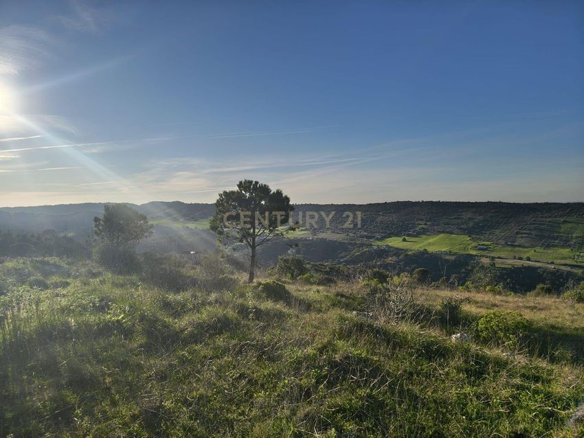 庄园出售Cm1052 s/n