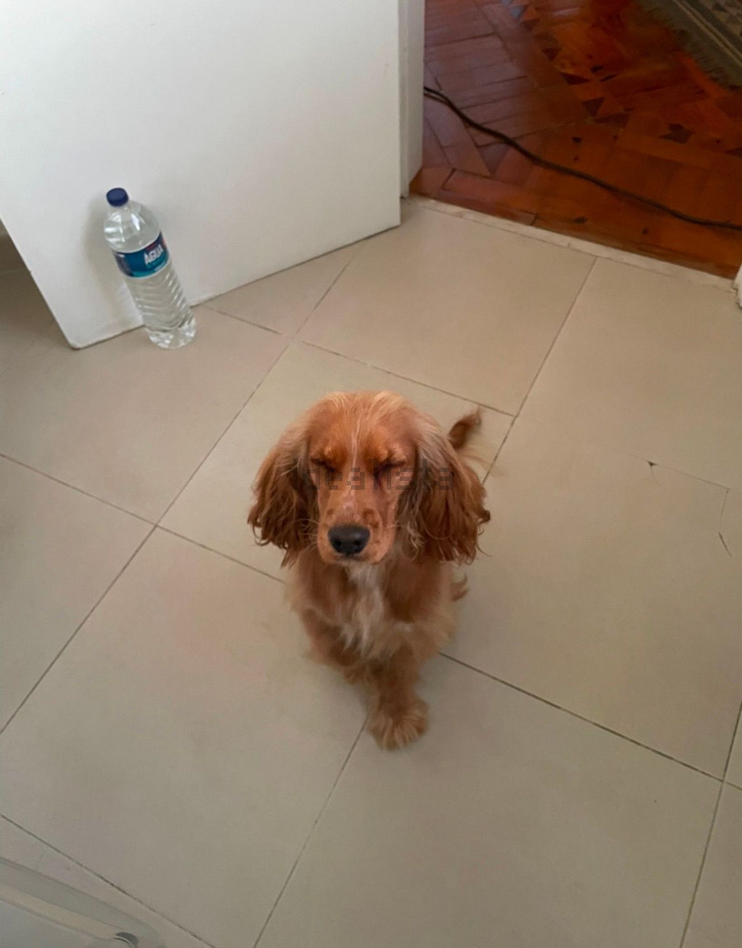 出租房间在Avenida Gago Coutinho, 64 - 室友