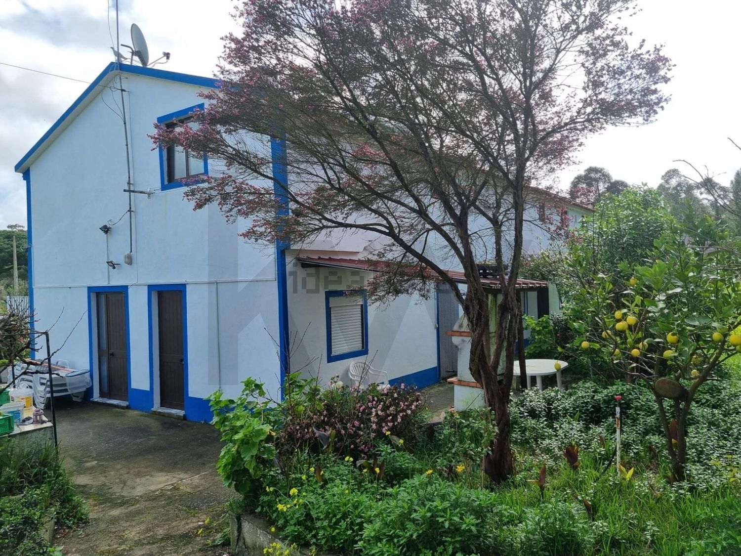 庄园出售在Rua Doutor Jacinto Nunes - 外立面