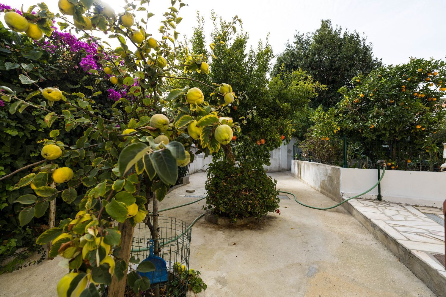 小楼房或独栋别墅出售在Rua dos Malmequeres, 2 - 花园