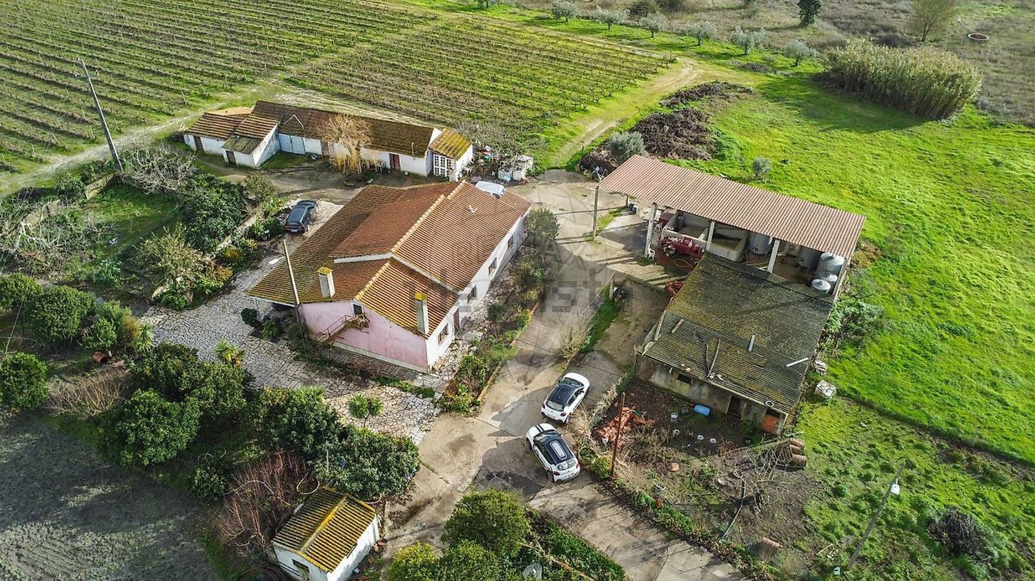 庄园出售在Poceirão e Marateca - 照片