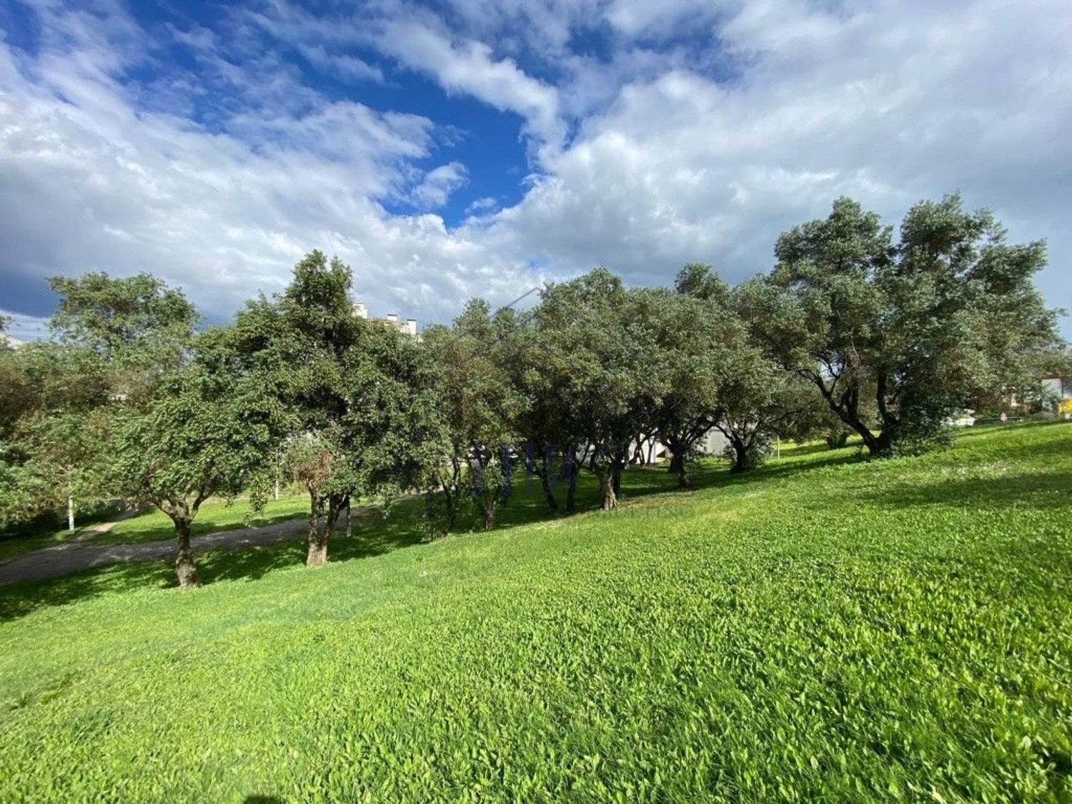 出租公寓 t1在Olivais - 环境