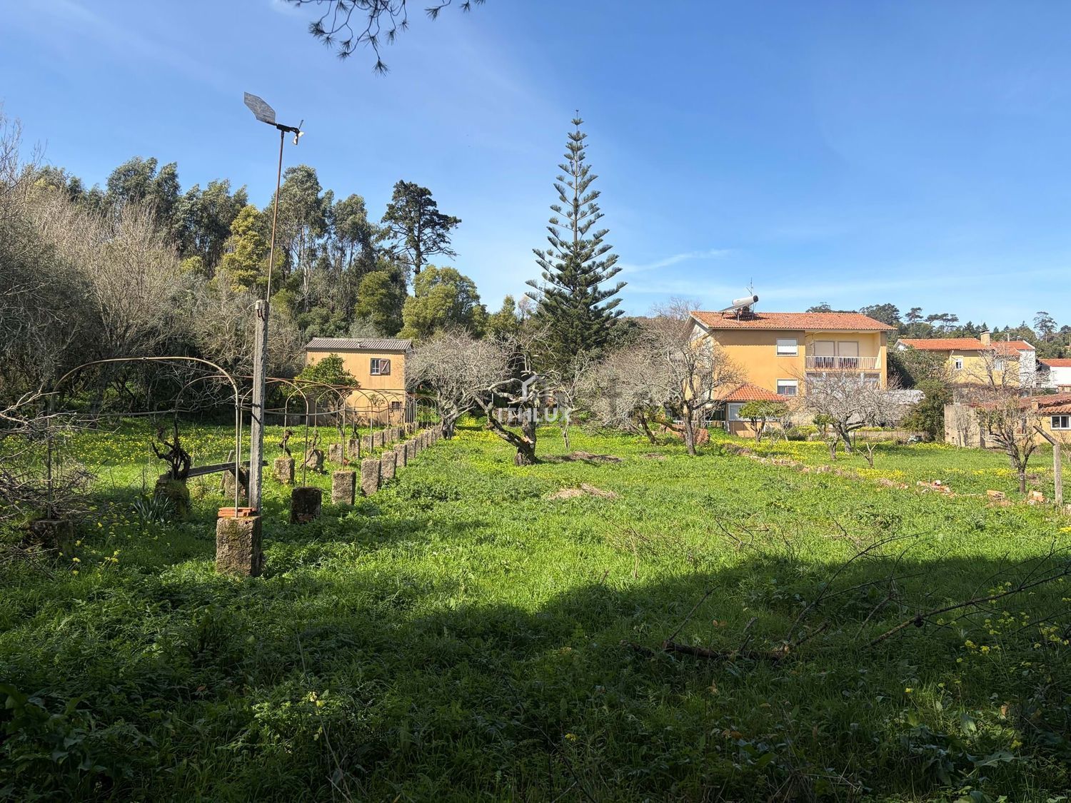 庄园出售在São Pedro de Penaferrim - 花园