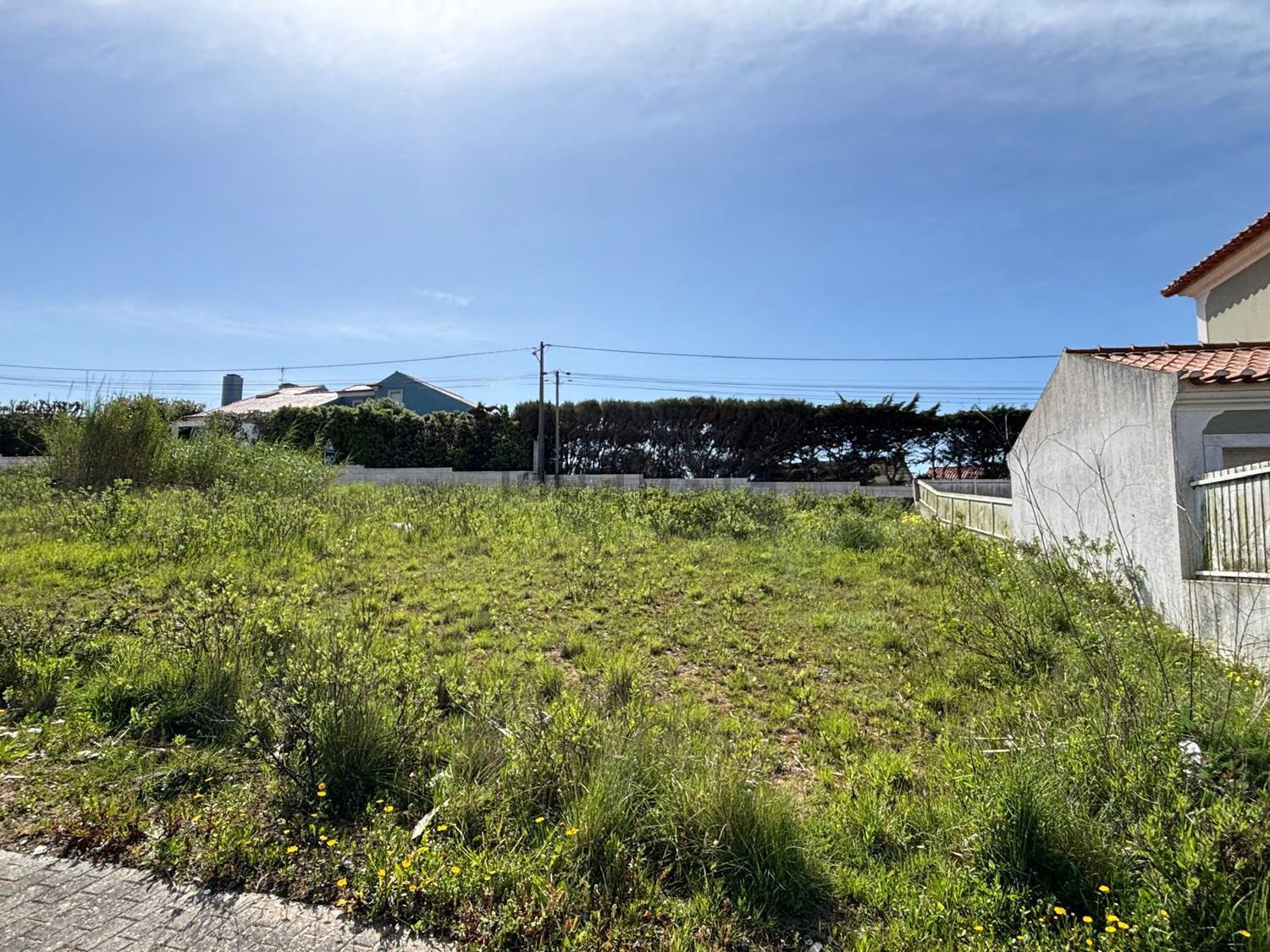 小楼房或独栋别墅出售在Rua Central - 花园