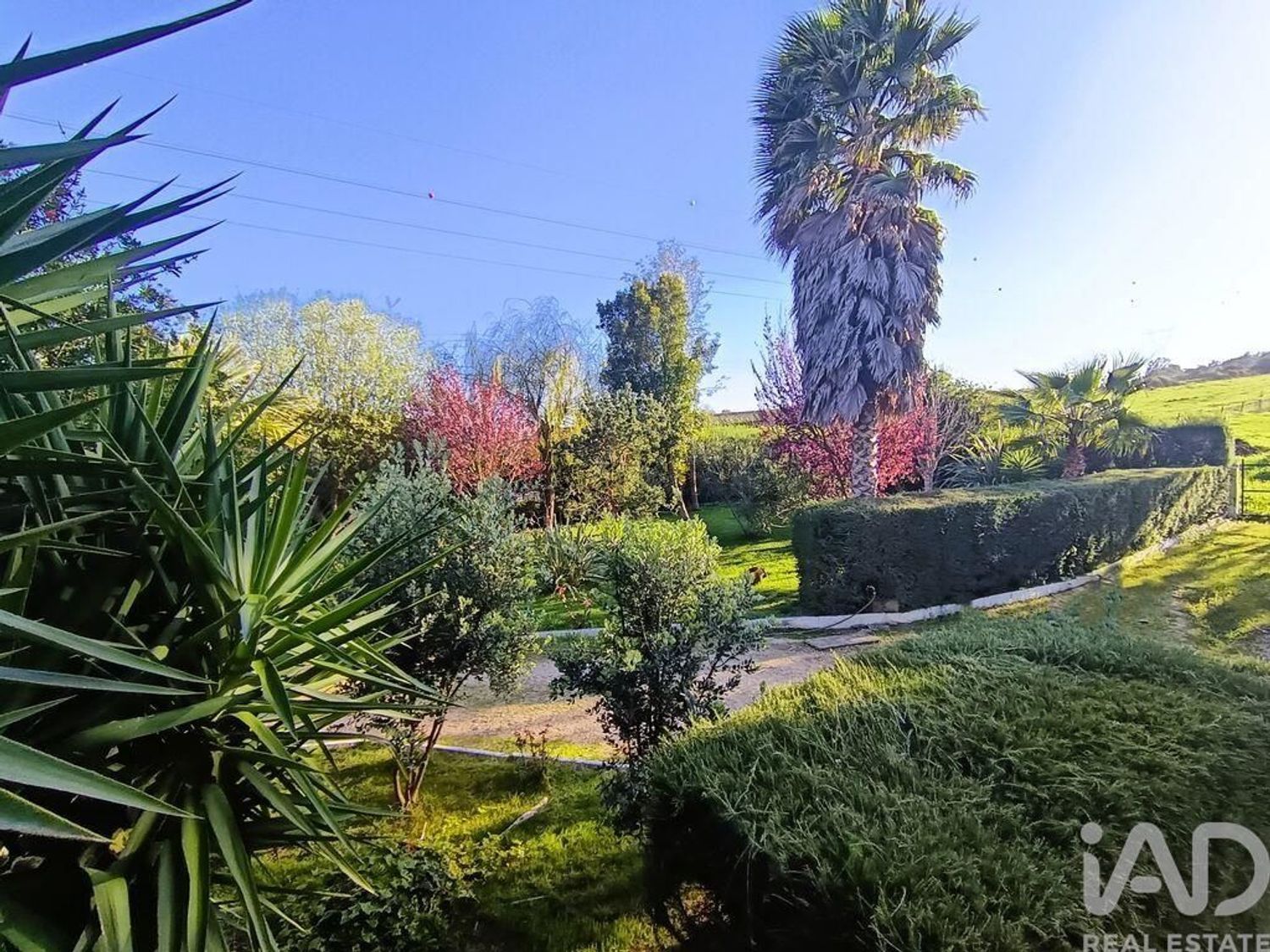 小楼房或独栋别墅出售在Castanheira do Ribatejo e Cachoeiras - 周边