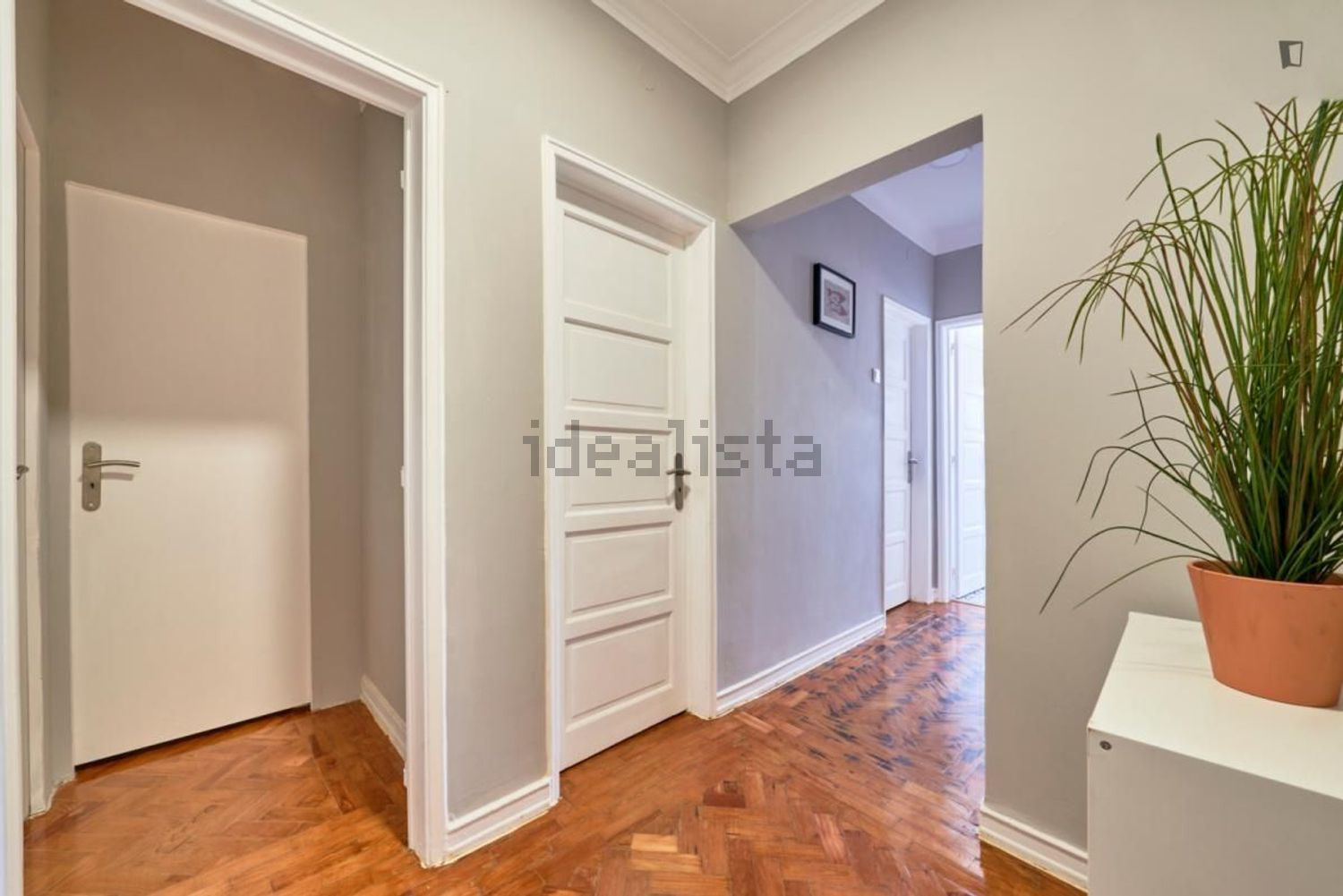 出租房间在Avenida Eduardo Jorge - 过道