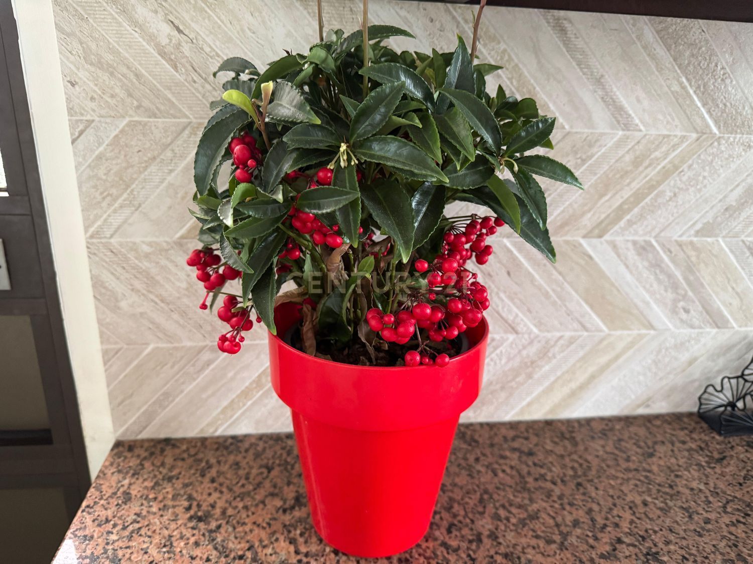 农庄出售在Estrada de Miraventos, 12 - 照片