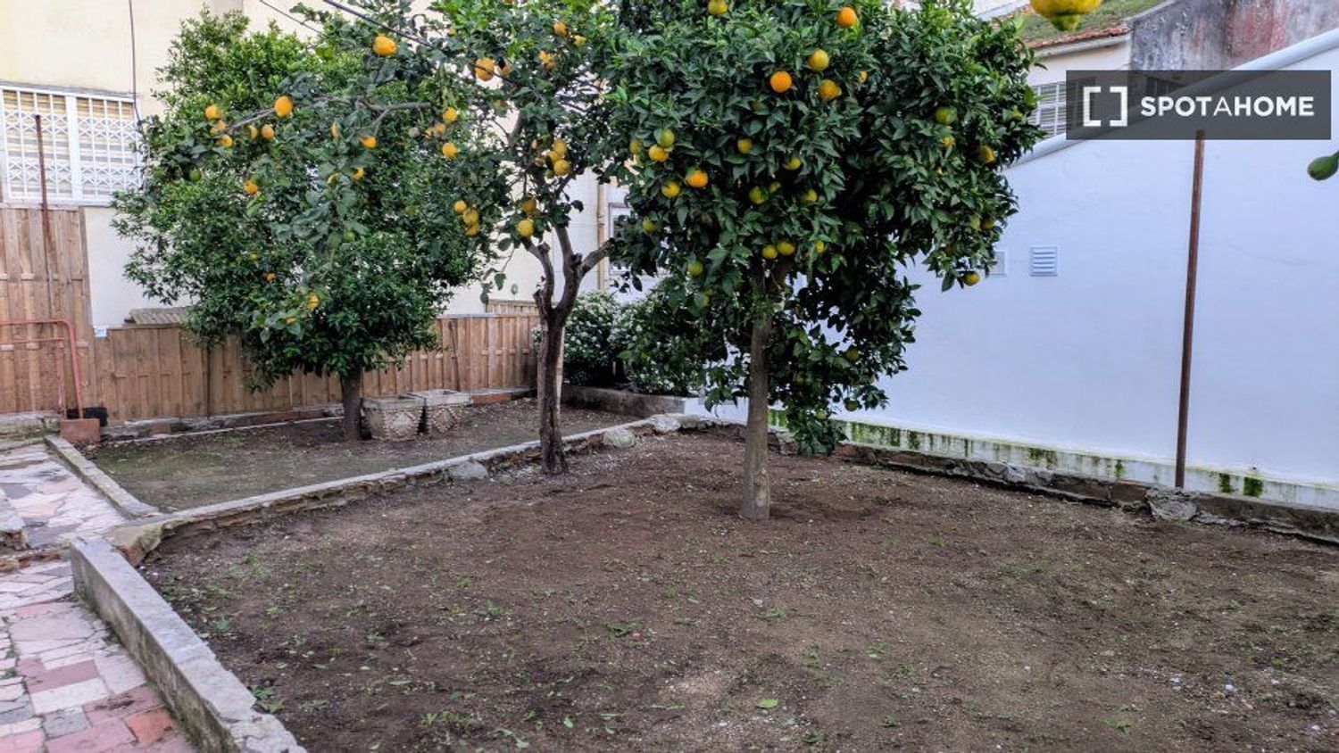 出租t0（单人公寓）在Rua Marechal Gomes da Costa - 花园