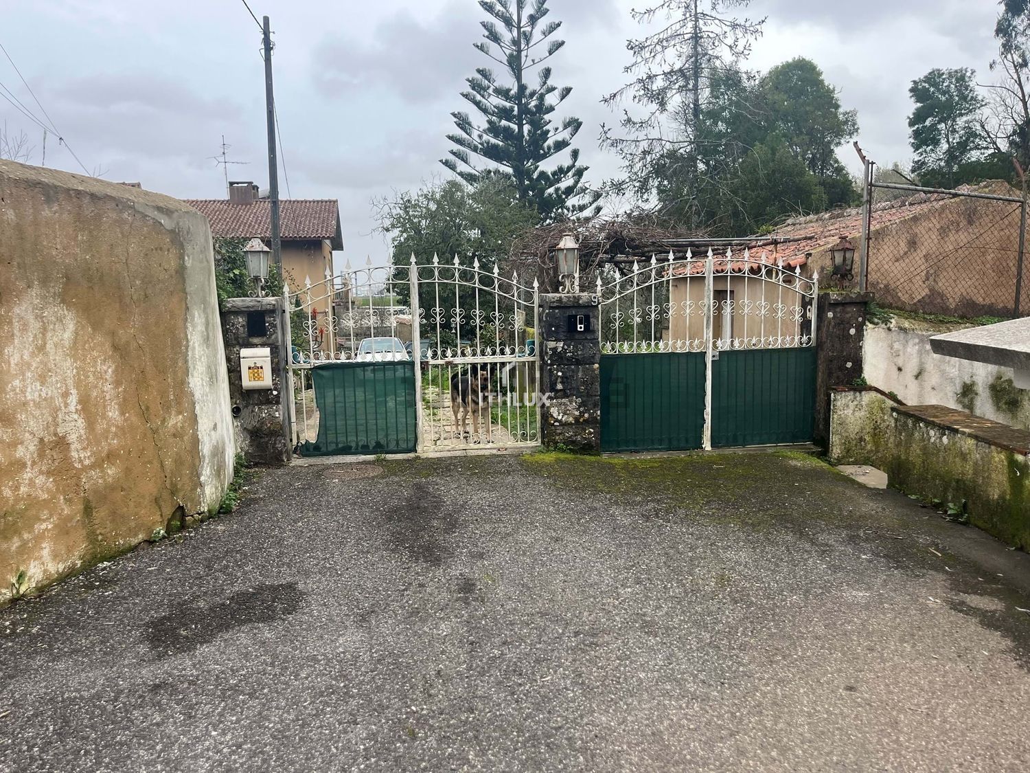 庄园出售在São Pedro de Penaferrim - 外立面