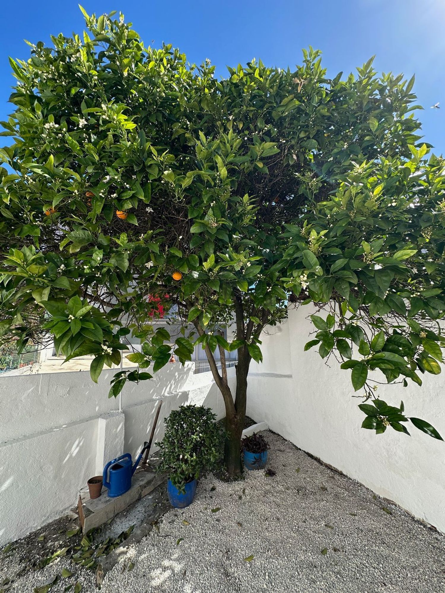 出租公寓 t1在Baixa da Banheira - 花园