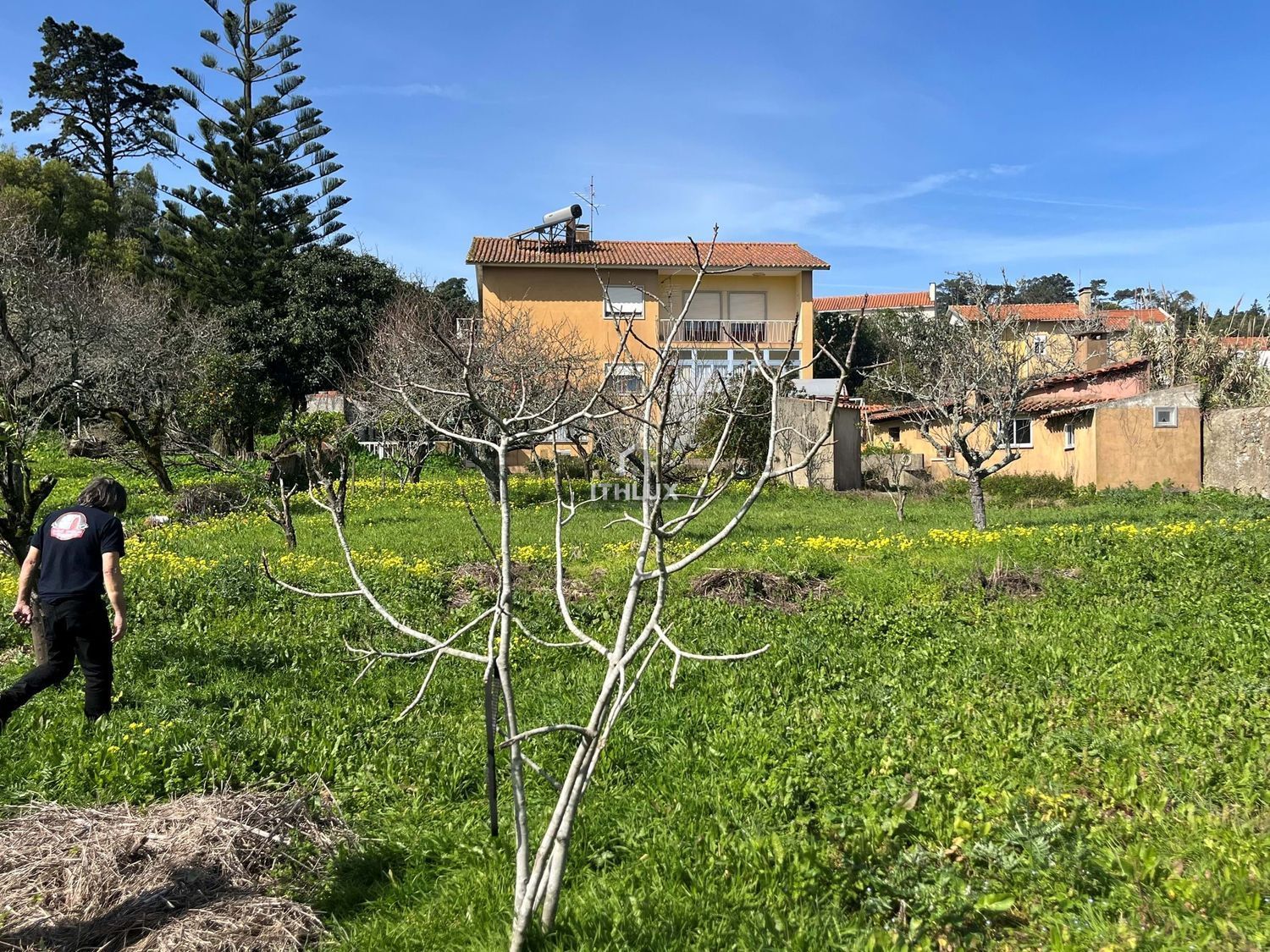 庄园出售在São Pedro de Penaferrim - 花园