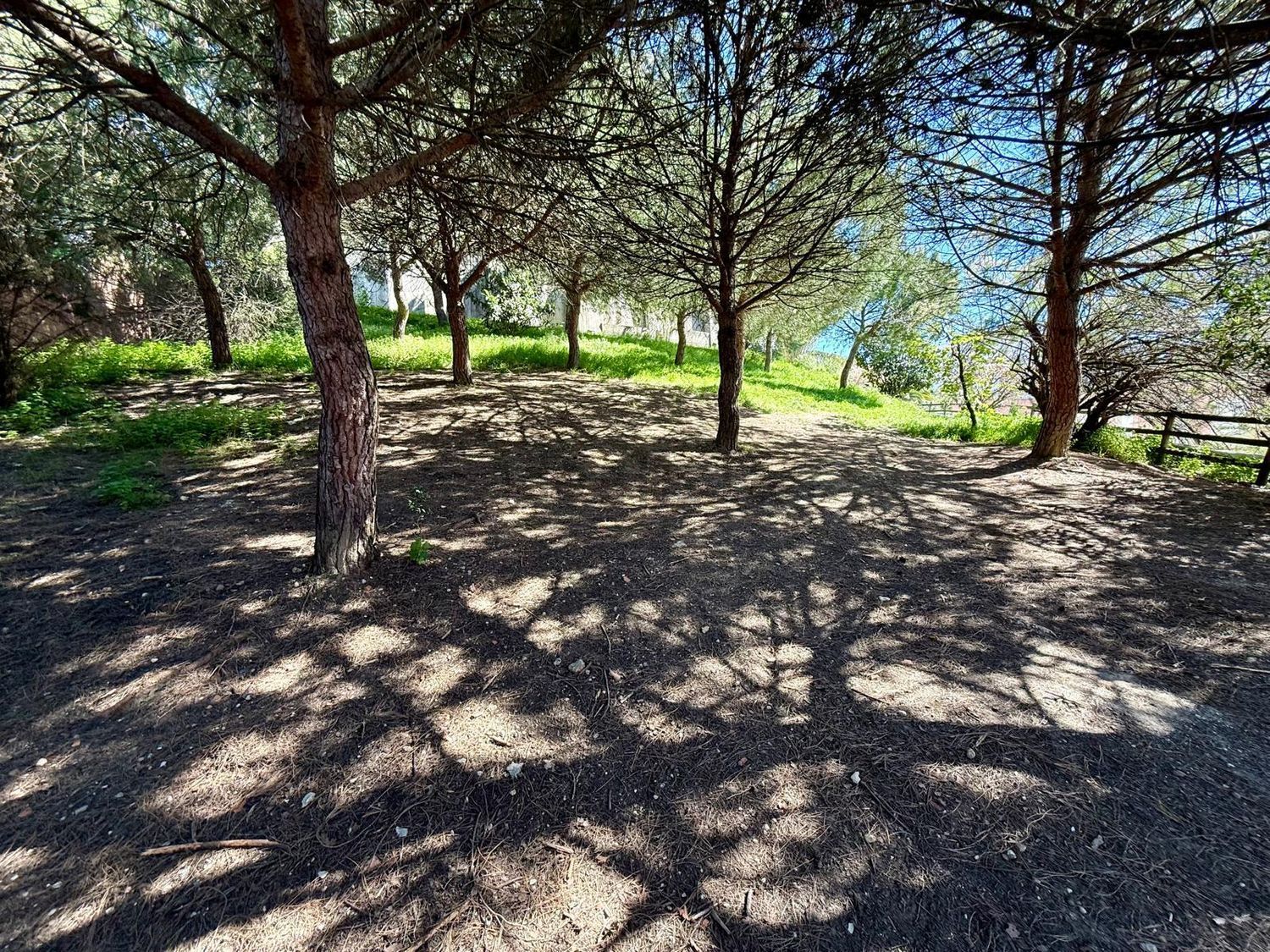 公寓 t3出售Calçada do Poço, 10 - 花园