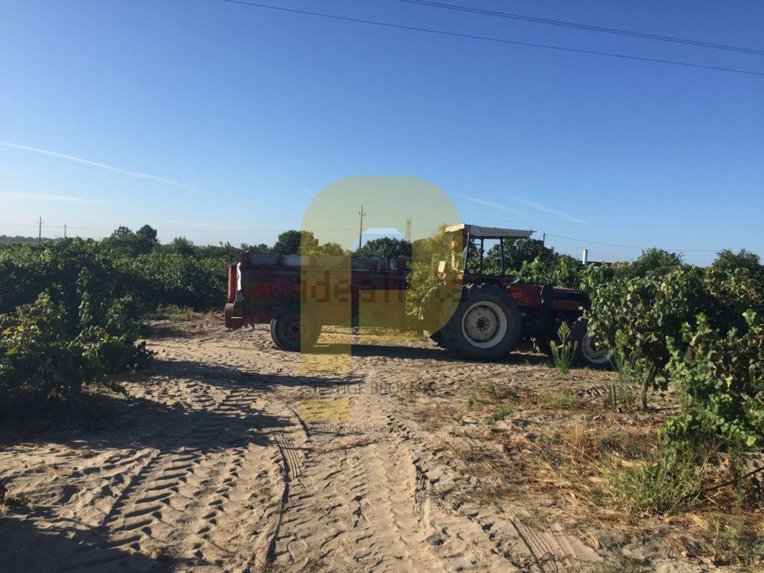 庄园出售在Poceirão e Marateca - 照片