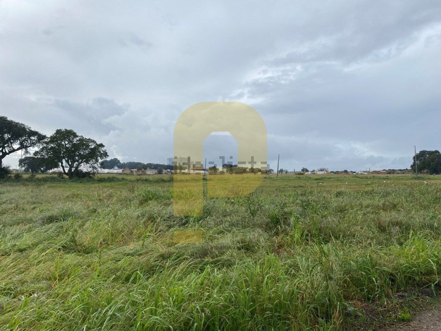 庄园出售在Atalaia e Alto Estanqueiro - Jardia - 花园