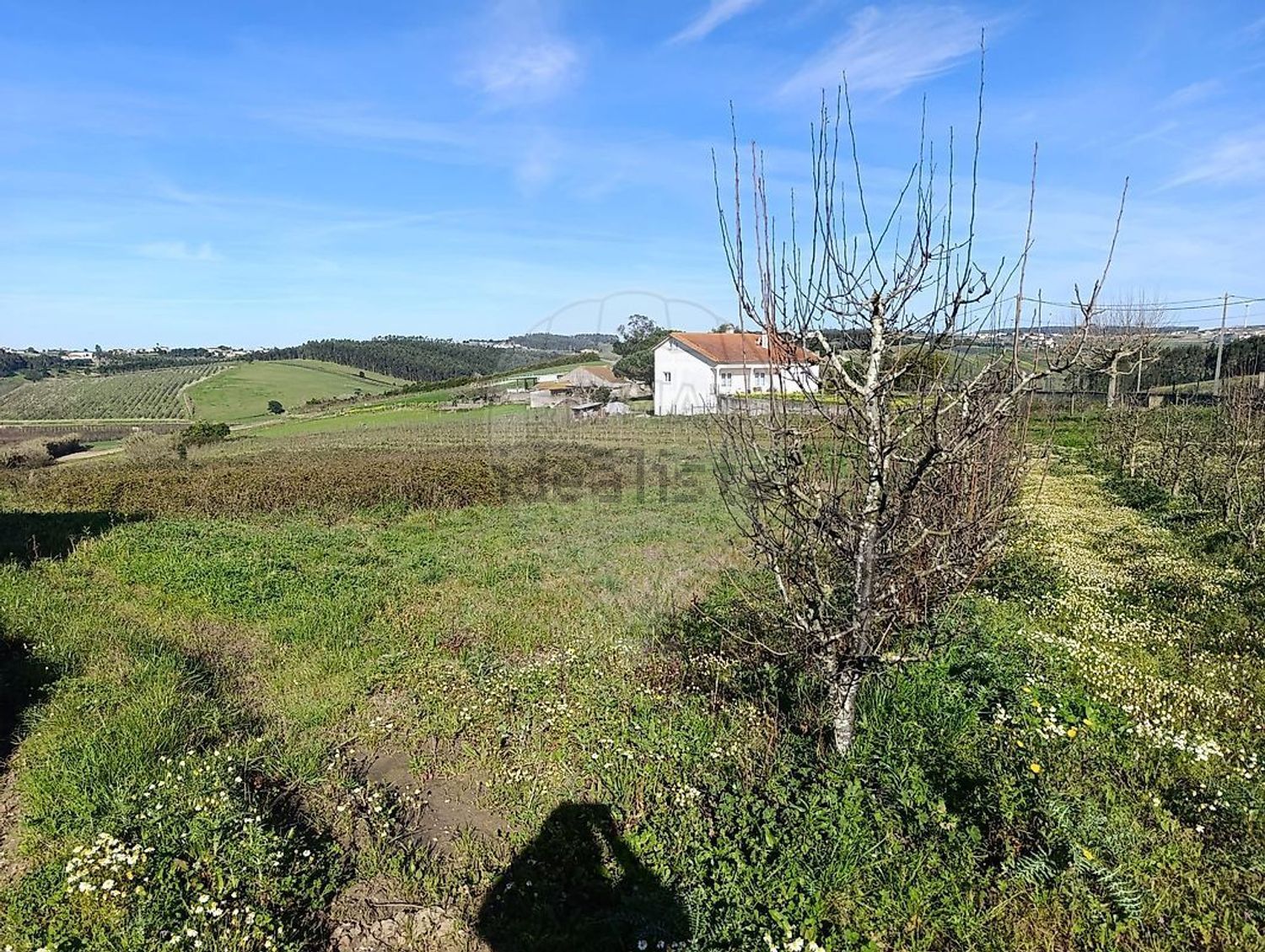 小楼房或独栋别墅出售在Rua Almeida - 花园