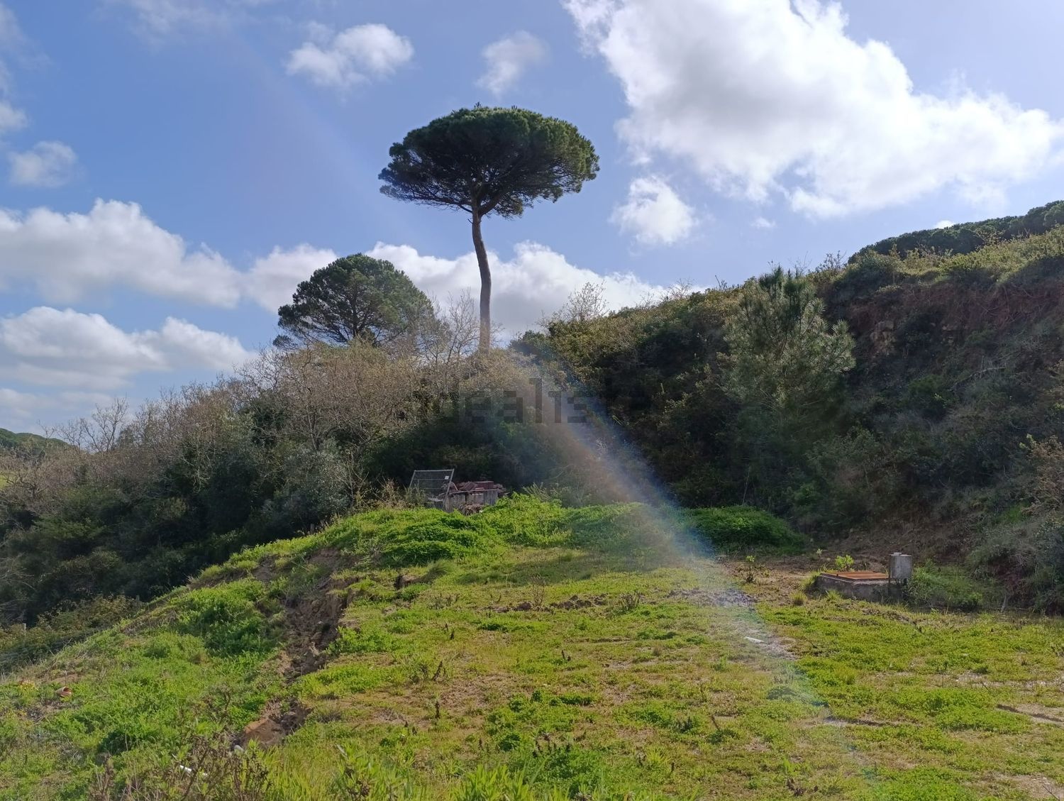 小楼房或独栋别墅出售在Caminho dos Reguengos - 花园