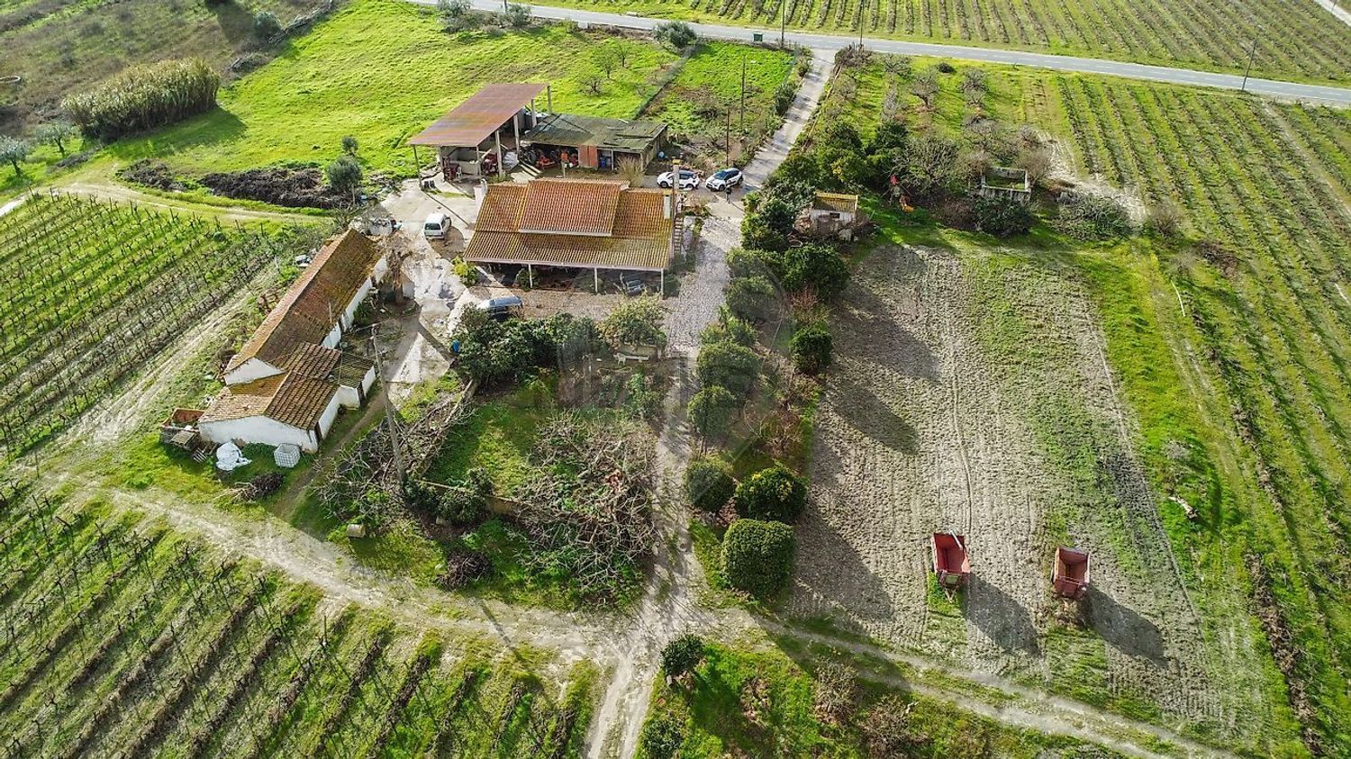 庄园出售在Poceirão e Marateca - 花园