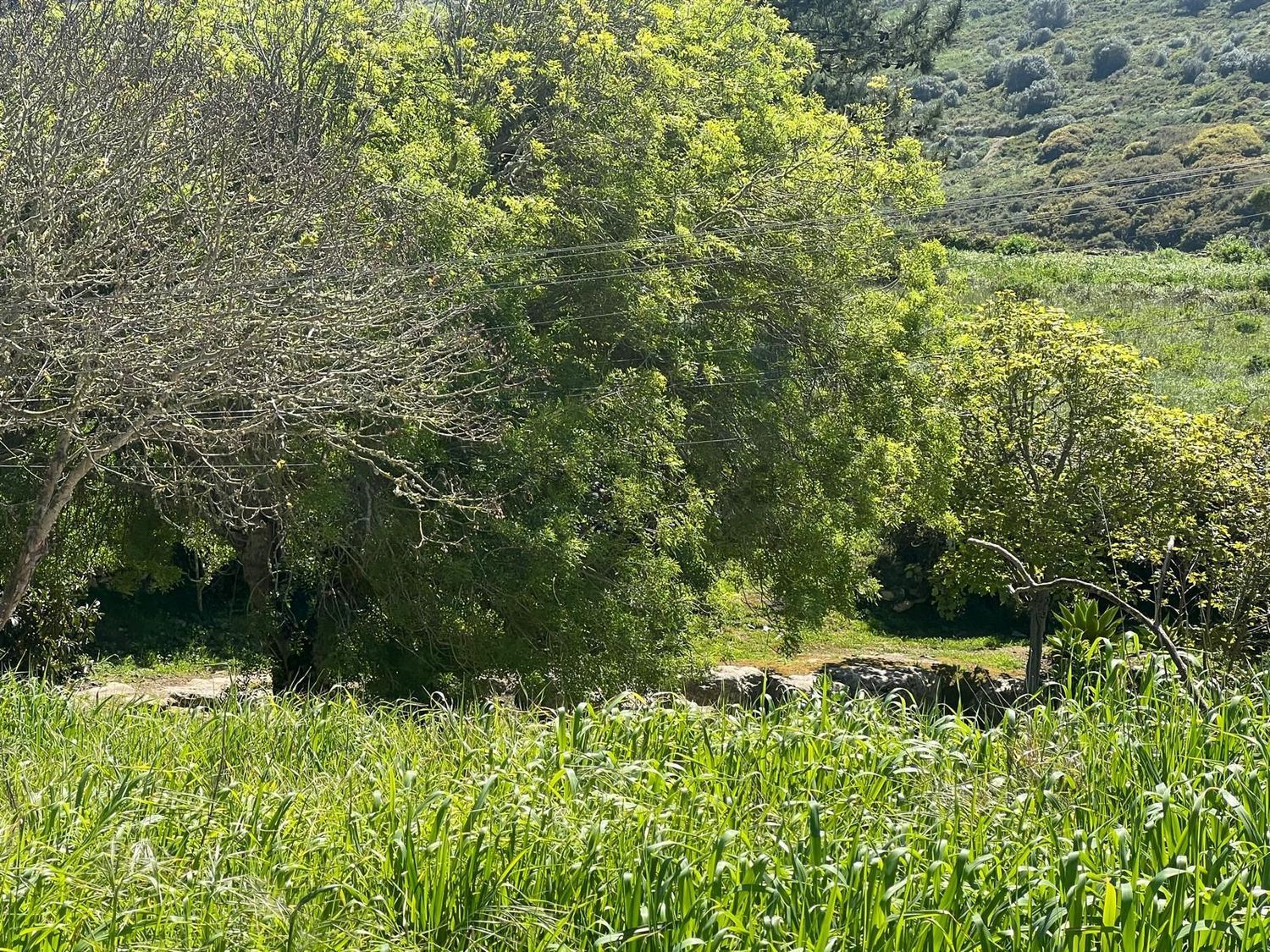 出租小镇楼房在Rua do Alto do Polido, 4 - 视线