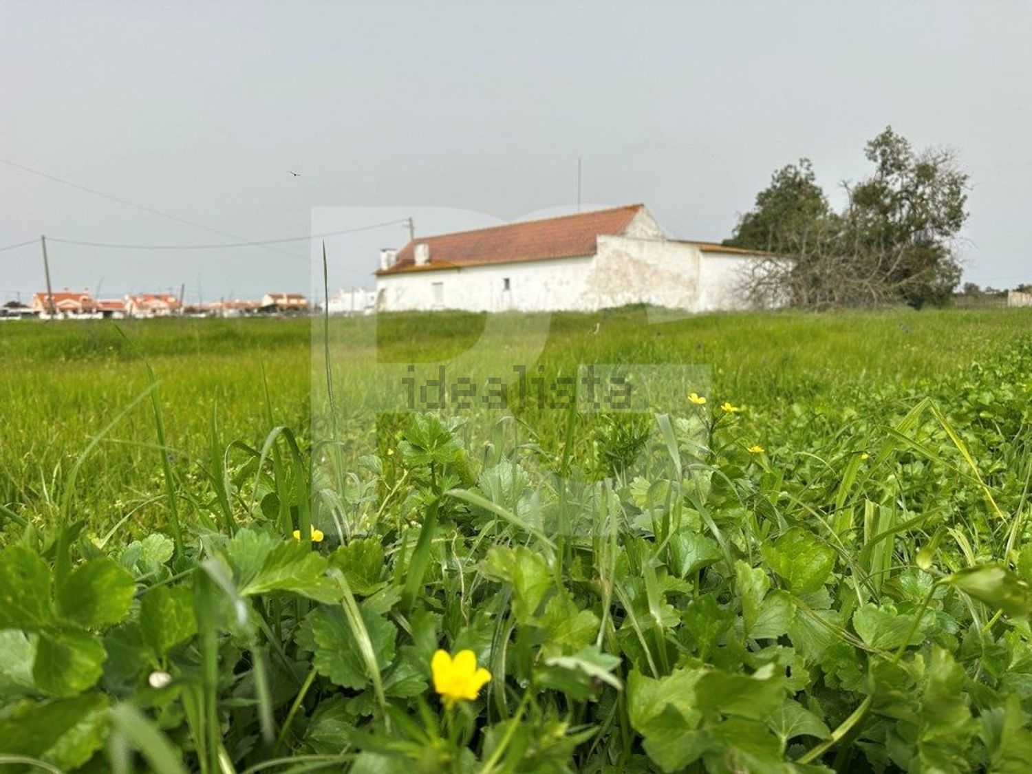 小楼房或独栋别墅出售在Atalaia e Alto Estanqueiro - Jardia - 花园