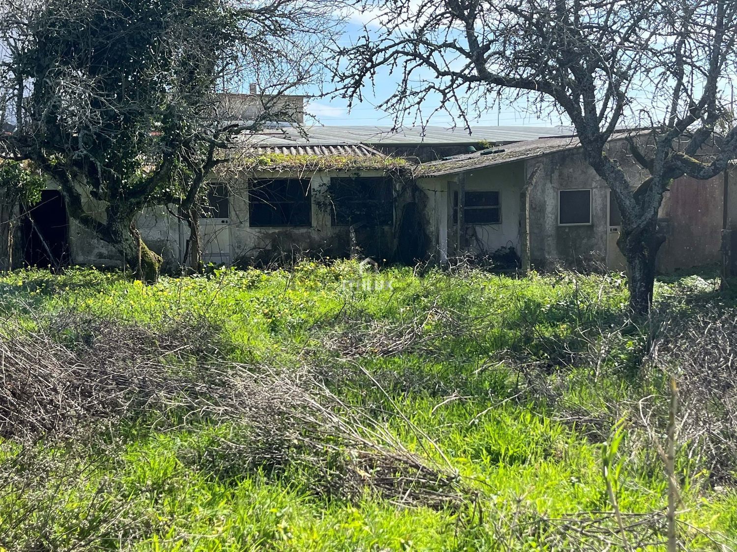 庄园出售在São Pedro de Penaferrim - 外立面