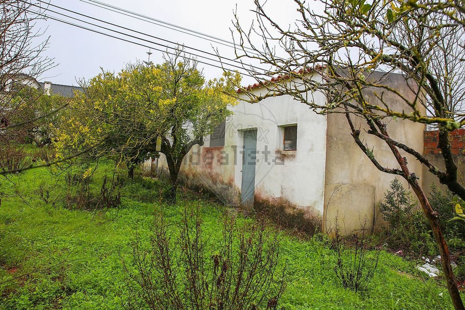 小楼房或独栋别墅出售Azinhaga Areosa - 外立面