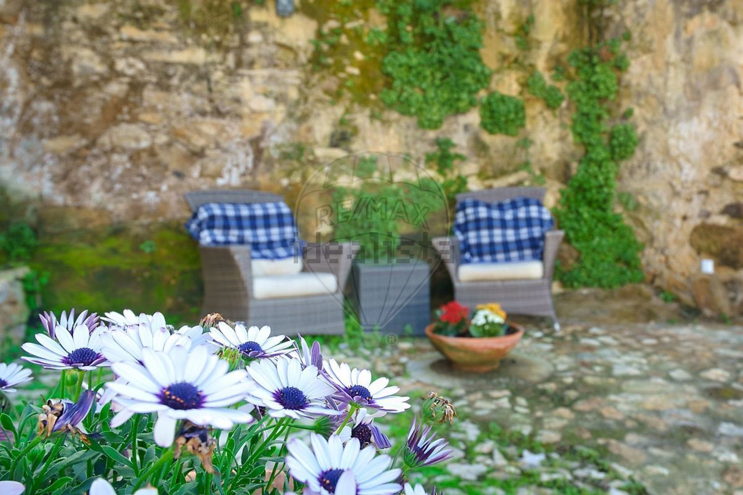 庄园出售在Rua da Liberdade - 花园