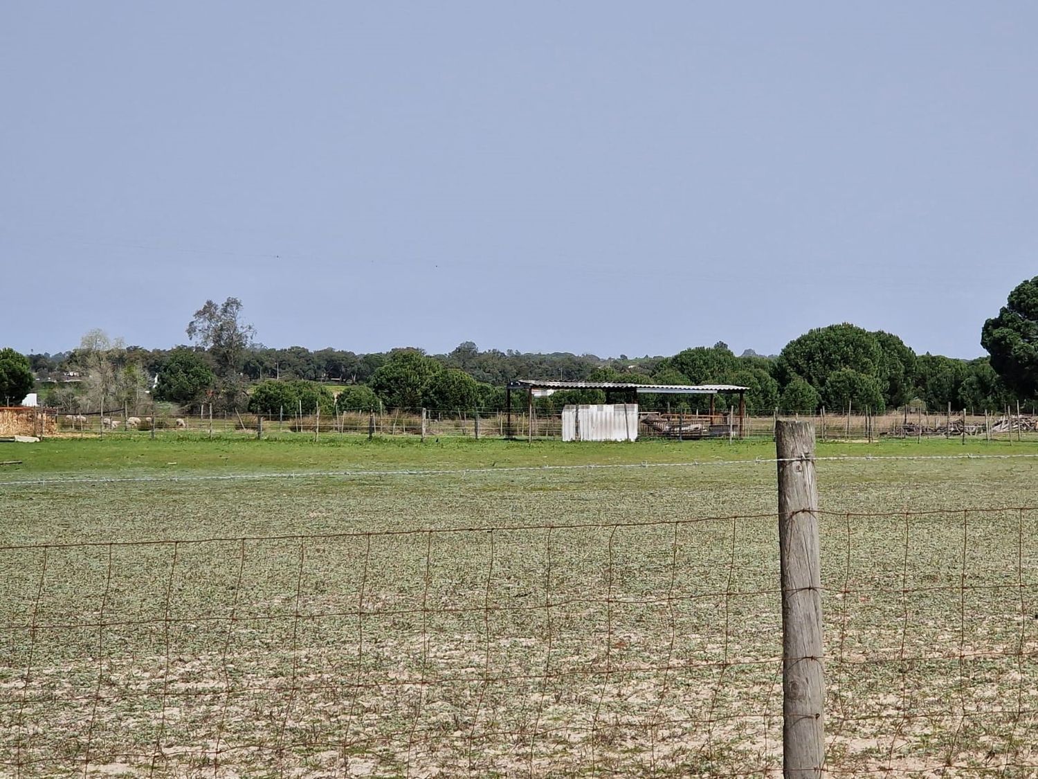 庄园出售在Poceirão e Marateca - 花园