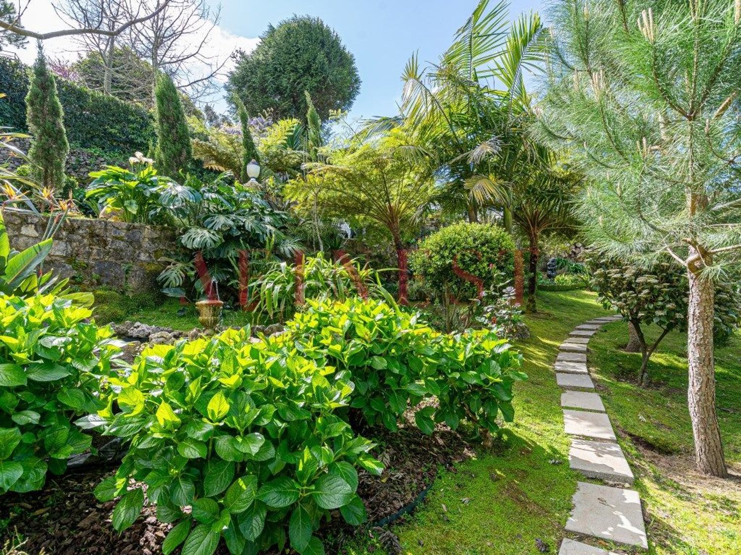 出租小楼房或独栋别墅在Rua Alto do Tanque Novo - 花园