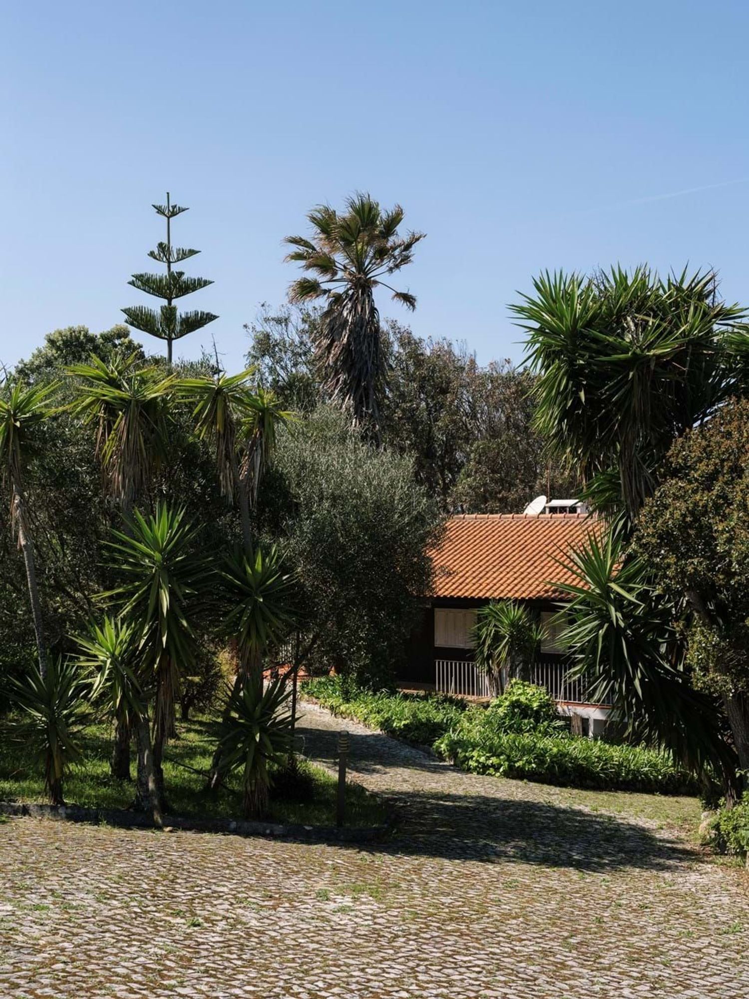 小楼房或别墅出售在Azenhas do Mar - Praia das Maças - Praia Grande - 花园