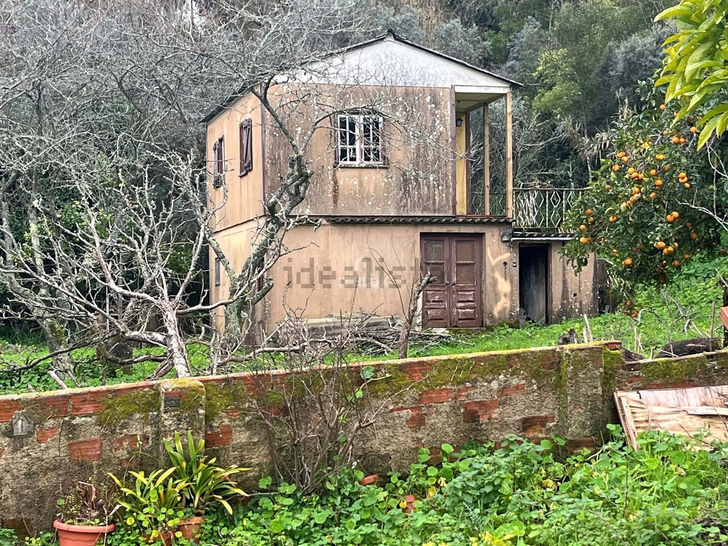 庄园出售在São Pedro de Penaferrim - 外立面