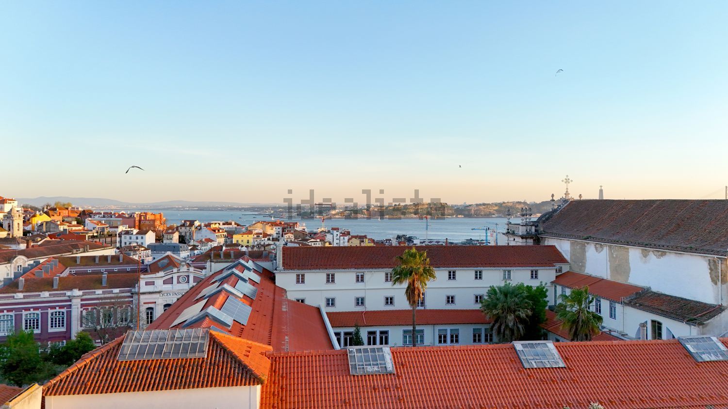 复式公寓出售在Rua da Academia das Ciências - 视线