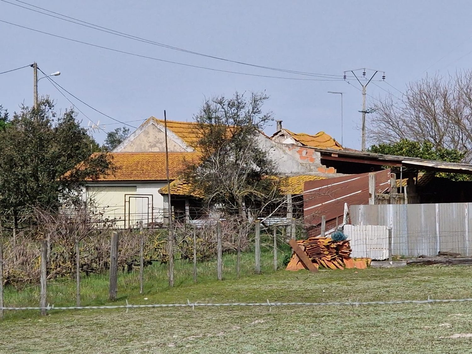 庄园出售在Poceirão e Marateca - 视线